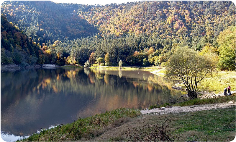 sakarya-akyazinin-one-cikan-yaylalari-davlumbaz